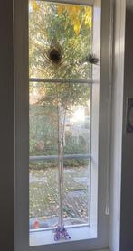 Solifleur vaas, Ophalen