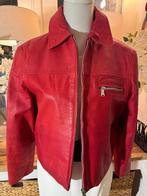 Rood leren jasje Eddy's Jackets, 38/M, licht oversized, ZGAN, Verzenden, Zo goed als nieuw, Maat 38/40 (M), Rood