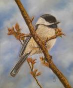OPRUIMING schilderij zwarte mees 247 - eigen werk - vogeltje, Ophalen of Verzenden