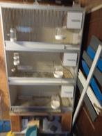 Broedkooi, Dieren en Toebehoren, Vogels | Hokken en Kooien, Ophalen, Hout, Broedkooi of Kweekkooi