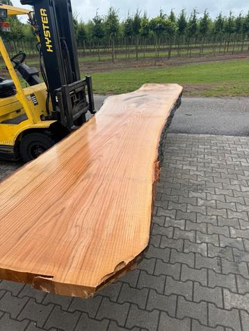 Exclusieve eiken  xxl boomstambladen 5mx100cmx8cm beschikbaar voor biedingen