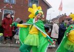 Carnaval "Kikkers", Ophalen of Verzenden, Zo goed als nieuw, Carnaval, Kleding