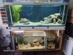 Te koop aquarium, Dieren en Toebehoren, Vissen | Aquaria en Toebehoren, Ophalen, Gebruikt, Leeg aquarium