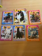 Penny tijdschriften - paardenmagazines, Ophalen of Verzenden, Gelezen, Muziek, Film of Tv