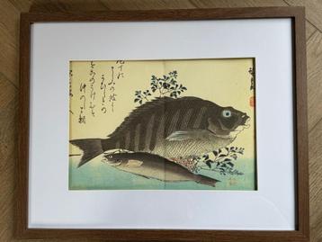 Japans - Grote Vis - oude plaat GROOT en Mooi beschikbaar voor biedingen