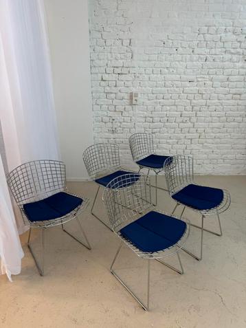 5 design stoelen Bertoia Knoll beschikbaar voor biedingen