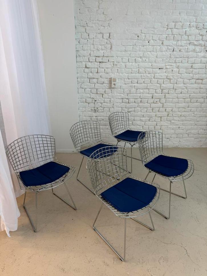 5 design stoelen Bertoia Knoll, Huis en Inrichting, Stoelen, Eén, Leer, Ophalen