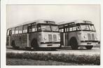 ROTTERDAM 1951 FABRIEKSFOTO SAURER HAINJE 261, 262 STADSBUS, Ophalen of Verzenden, 1940 tot 1960, Ongelopen, Zuid-Holland