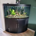Juwel trigion 350, Dieren en Toebehoren, Vissen | Aquaria en Toebehoren, Ophalen of Verzenden, Zo goed als nieuw, Leeg aquarium