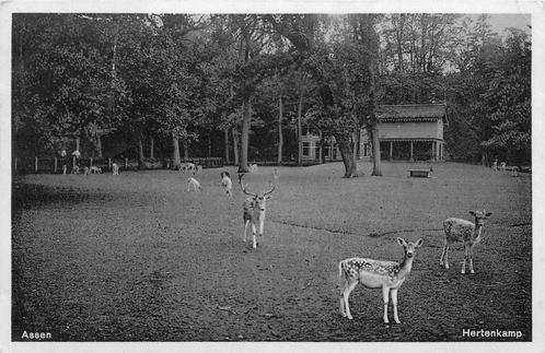 (379-225-013) Assen Hertenkamp, Verzamelen, Ansichtkaarten | Nederland, Drenthe, Verzenden