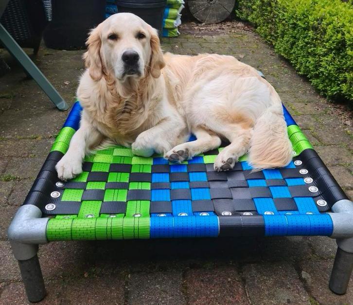 Hondenmand  ✅ hondenstretcher hondenkussen bench dog bull, Dieren en Toebehoren, Hondenbenches, Nieuw, Ophalen of Verzenden