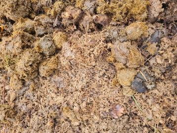 Gratis paardenmest beschikbaar voor biedingen