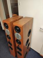 Coincident Total Victory Series II luidsprekers.