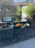 Complete Koivijver te koop – Inclusief filters & koi, Ophalen of Verzenden, Vijverfilter