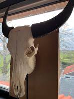 Buffelkop schedel decoratie met hoorns op voet, Huis en Inrichting, Woonaccessoires | Overige, Ophalen