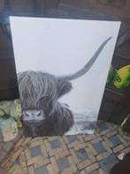 Canvasdoek schotse hooglander, Ophalen