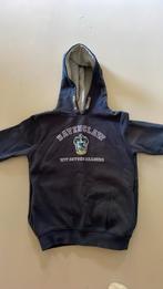 Hoody Harry Potter maat 146, Kinderen en Baby's, Kinderkleding | Maat 146, Ophalen of Verzenden, Zo goed als nieuw, Trui of Vest