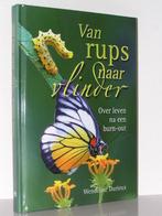W. Durieux - Van rups naar vlinder (burn-out overleven), Ophalen of Verzenden, Zo goed als nieuw, Christendom | Protestants