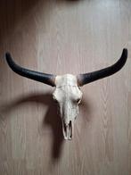 Imitatie Buffelschedel Wanddecoratie, Ophalen, Nieuw