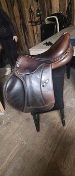 Equipe Evo, Dieren en Toebehoren, Ophalen, Zo goed als nieuw, Dressuur