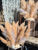 Pampas pluimen op standaard - decoratie, Ophalen, Zo goed als nieuw