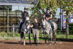 Prive / duo pony en paardrijlessen!! Hendrik ido ambacht, Verzorging of Verzorgpony's