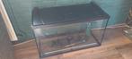 EHEIM Aquaproled 126 L, 80x35x45, Dieren en Toebehoren, Vissen | Aquaria en Toebehoren, Ophalen, Zo goed als nieuw, Leeg aquarium