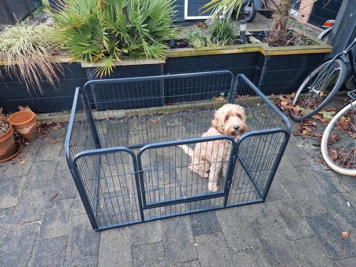 Puppyren, Dieren en Toebehoren, Honden-accessoires, Zo goed als nieuw, Ophalen of Verzenden