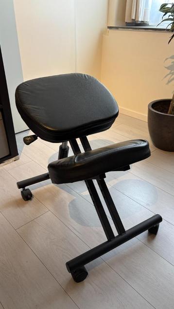 Ergonomische stoel beschikbaar voor biedingen