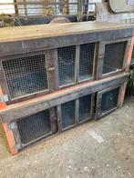Houten Konijnenhokken, Kooi, 110 cm of meer, Zo goed als nieuw, Konijn