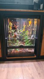 Exo terra 45x45x60cm, Dieren en Toebehoren, Reptielen en Amfibieën | Toebehoren, Ophalen, Zo goed als nieuw