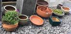 Diverse terracotta bloempotten schalen bonsai vetplanten, Tuin en Terras, Bloempotten, Zo goed als nieuw, Minder dan 40 cm, Overige vormen