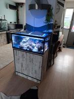 Zee aquarium 80.x 50x40, Dieren en Toebehoren, Vissen | Aquaria en Toebehoren, Ophalen of Verzenden, Zo goed als nieuw, Leeg aquarium