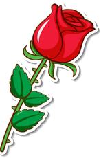 man zoekt warme vrouw die graag aandacht wil