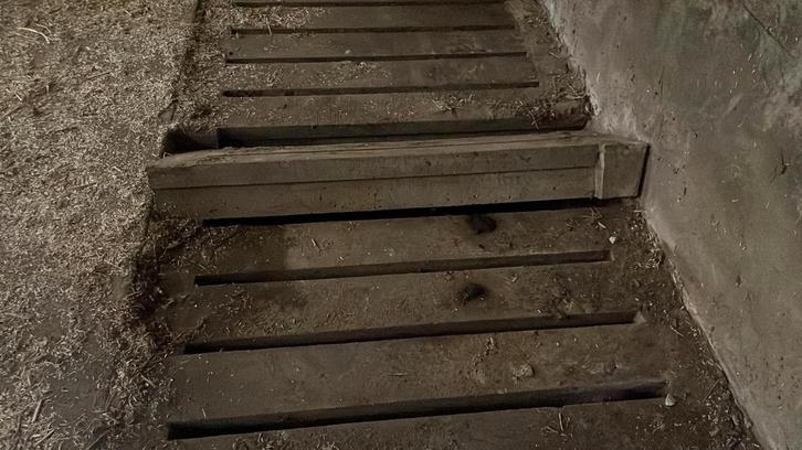 Gezocht: betonroosters 110 cm x 16 meter, Dieren en Toebehoren, Overige Dieren-accessoires, Ophalen of Verzenden