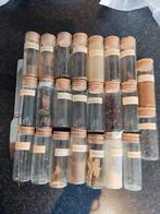 Kruidenpotjes reageerbuisjes 8x3 cm 71 stuks, Huis en Inrichting, Keuken | Potten en Pannen, Ophalen of Verzenden, Zo goed als nieuw