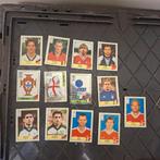 Panini euro 2000., Ophalen of Verzenden, Nederland