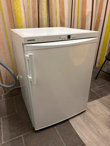 Liebherr Tafelmodel Vriezer - Geschikt Koude Ruimtes - 4 La beschikbaar voor biedingen