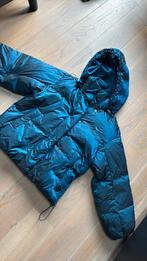 Levi’s dames winterjas metallic blauw maat m, Ophalen of Verzenden, Gedragen, Maat 38/40 (M), Blauw