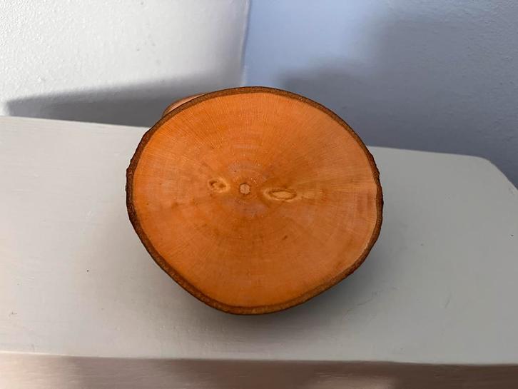 Boomstam Onderzetters, Huis en Inrichting, Woonaccessoires | Onderzetters, Nieuw, Glas of Kopje, Ophalen of Verzenden