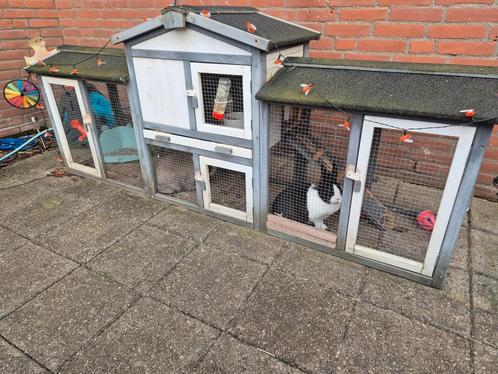 Spoed: 2 konijntjes zoeken een fijn nieuw plekje., Dieren en Toebehoren, Knaagdieren en Konijnen | Hokken en Kooien, Zo goed als nieuw