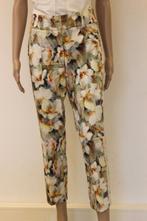 Corel gebloemde broek maat 38, Kleding | Dames, ., Ophalen of Verzenden, Zo goed als nieuw, .