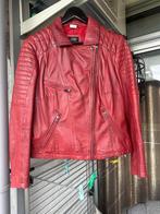 Rode leren biker jas - maat 42, Kleding | Dames, Ophalen of Verzenden, Zo goed als nieuw, Maat 42/44 (L), Rood