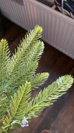 Gevraagd Kerstgroen-hulst etc.(Zaltbommel), Diversen, Kerst, Ophalen, Zo goed als nieuw