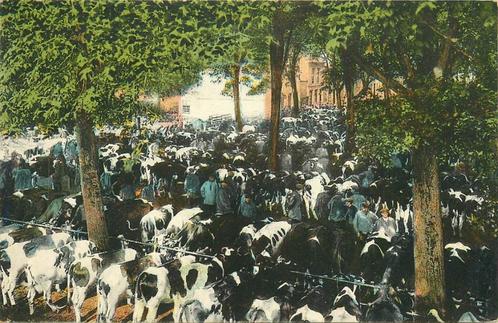 (701-255-045) Purmerend Koemarkt, Verzamelen, Ansichtkaarten | Nederland, Noord-Holland, Verzenden
