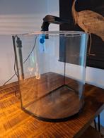 Tetra halfrond aquarium 60 liter., Dieren en Toebehoren, Vissen | Aquaria en Toebehoren, Ophalen, Zo goed als nieuw, Leeg aquarium