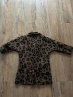 The Campamento Tussenjas Meisje Maat 128 (Nieuw), Ophalen of Verzenden, Nieuw, Meisje