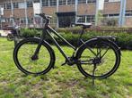 Trekkingfiets - Bergamont Vitess N8 - 52 cm/S, Nieuw, 50 tot 53 cm, Ophalen, Overige merken