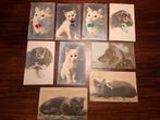 9 antieke postkaarten van katten en honden '20, Verzamelen, Ansichtkaarten | Dieren, Ophalen of Verzenden, Voor 1920, Ongelopen