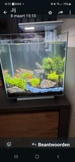 Cube  aquarium, Dieren en Toebehoren, Vissen | Aquaria en Toebehoren, Ophalen of Verzenden, Zo goed als nieuw, Leeg aquarium